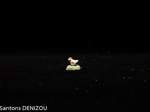 Poule blanche