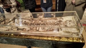 Reliques de St François dans leurs châsse