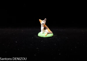Chat Bariolé