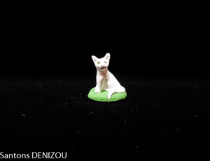 Chat Blanc