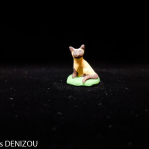 Chat siamois