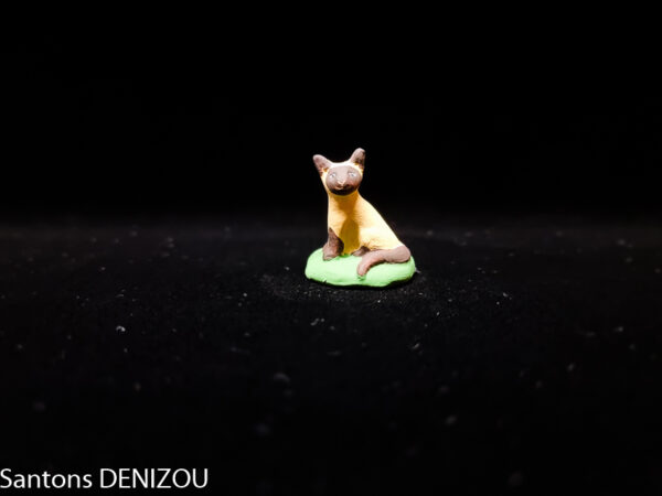 Chat siamois