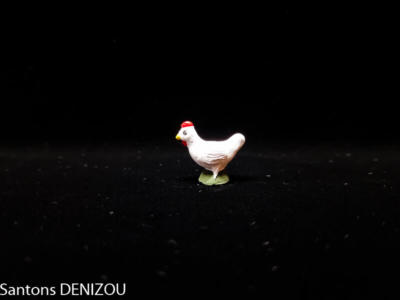 Poule blanche