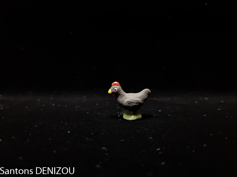 Poule noire