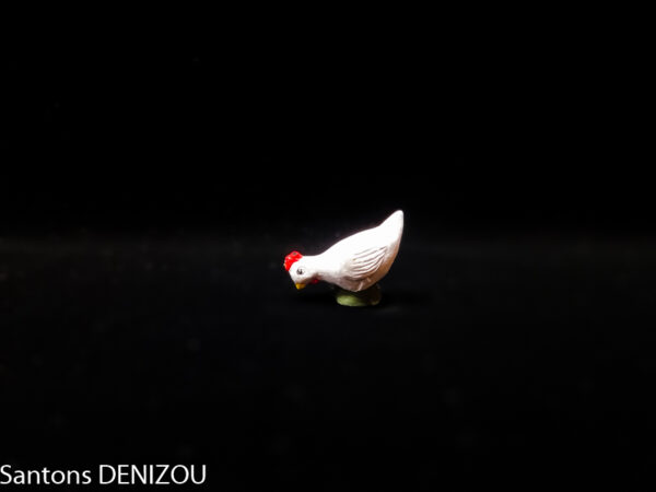Poule blanche qui picore