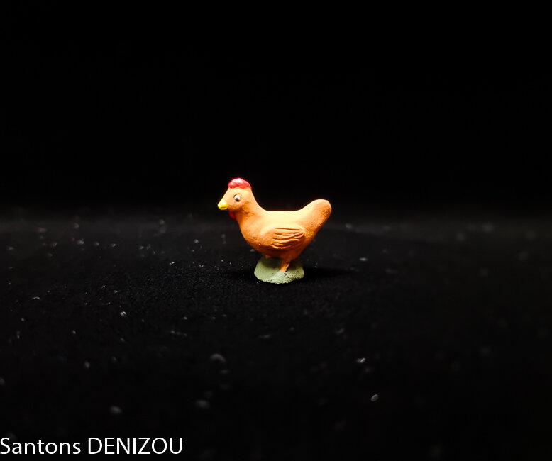 Poule rousse